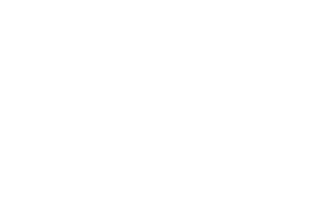 Token Sale and Valuation